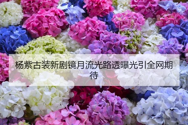 杨紫古装新剧镜月流光路透曝光引全网期待